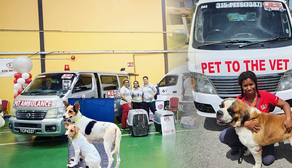 "Pet to the Vet" Firstclass Pet Ambulance in Trinidad and Tobago